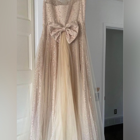 Prom Dress - Picture 4 of 6